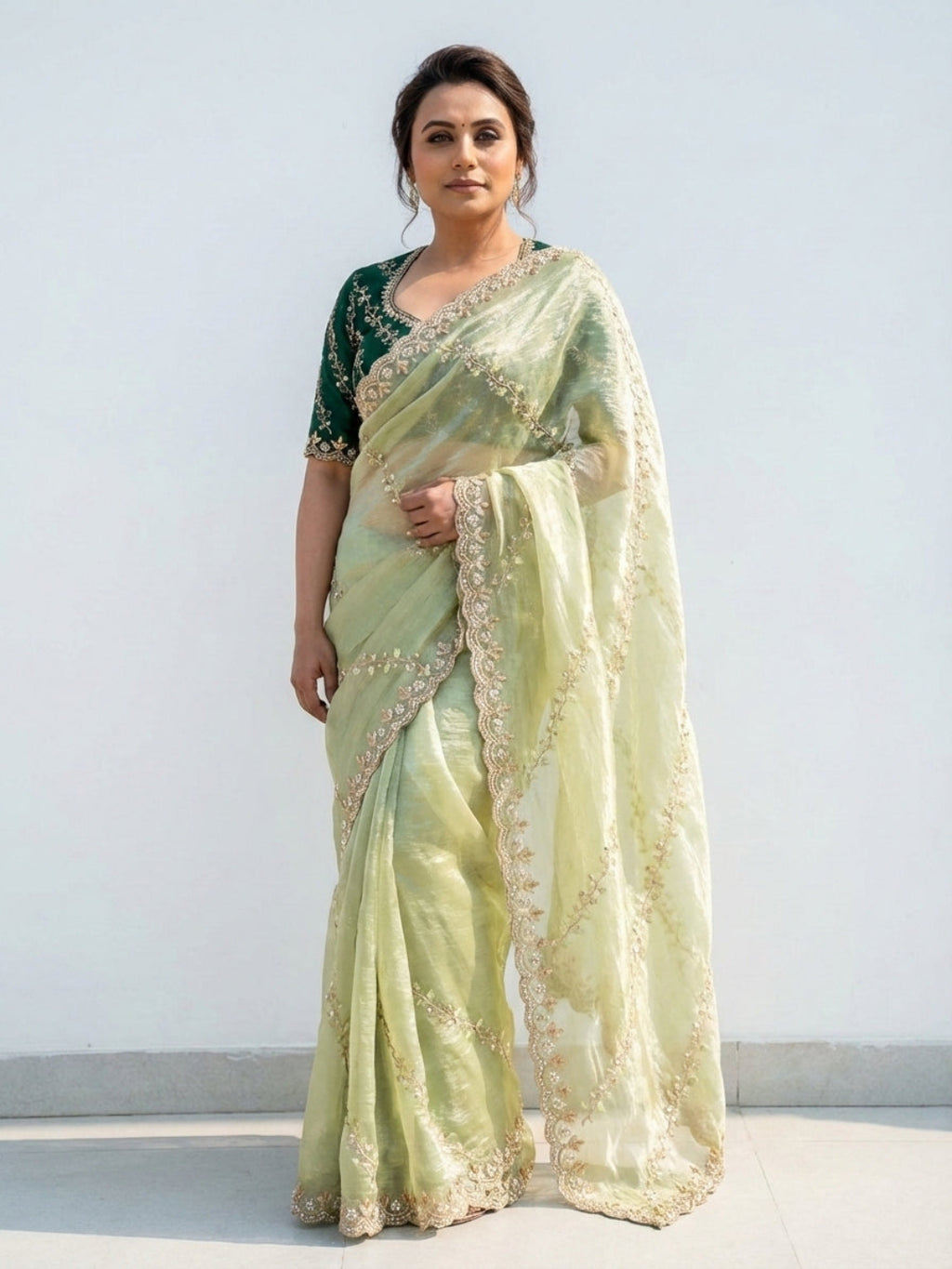 Luxury Pastel Olive Net Saree