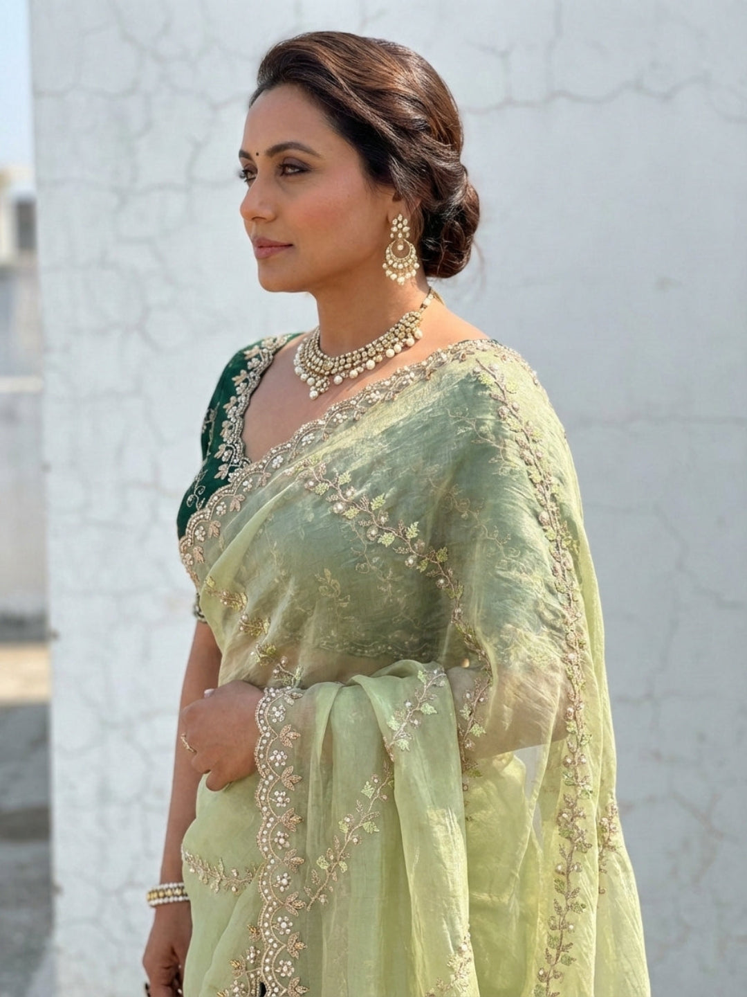 Luxury Pastel Olive Net Saree
