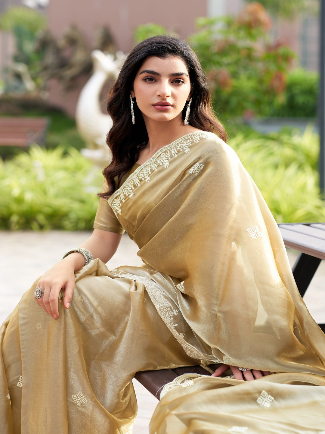Golden Radiance: Highlighting the glowing tone of the beige shimmer chiffon saree.