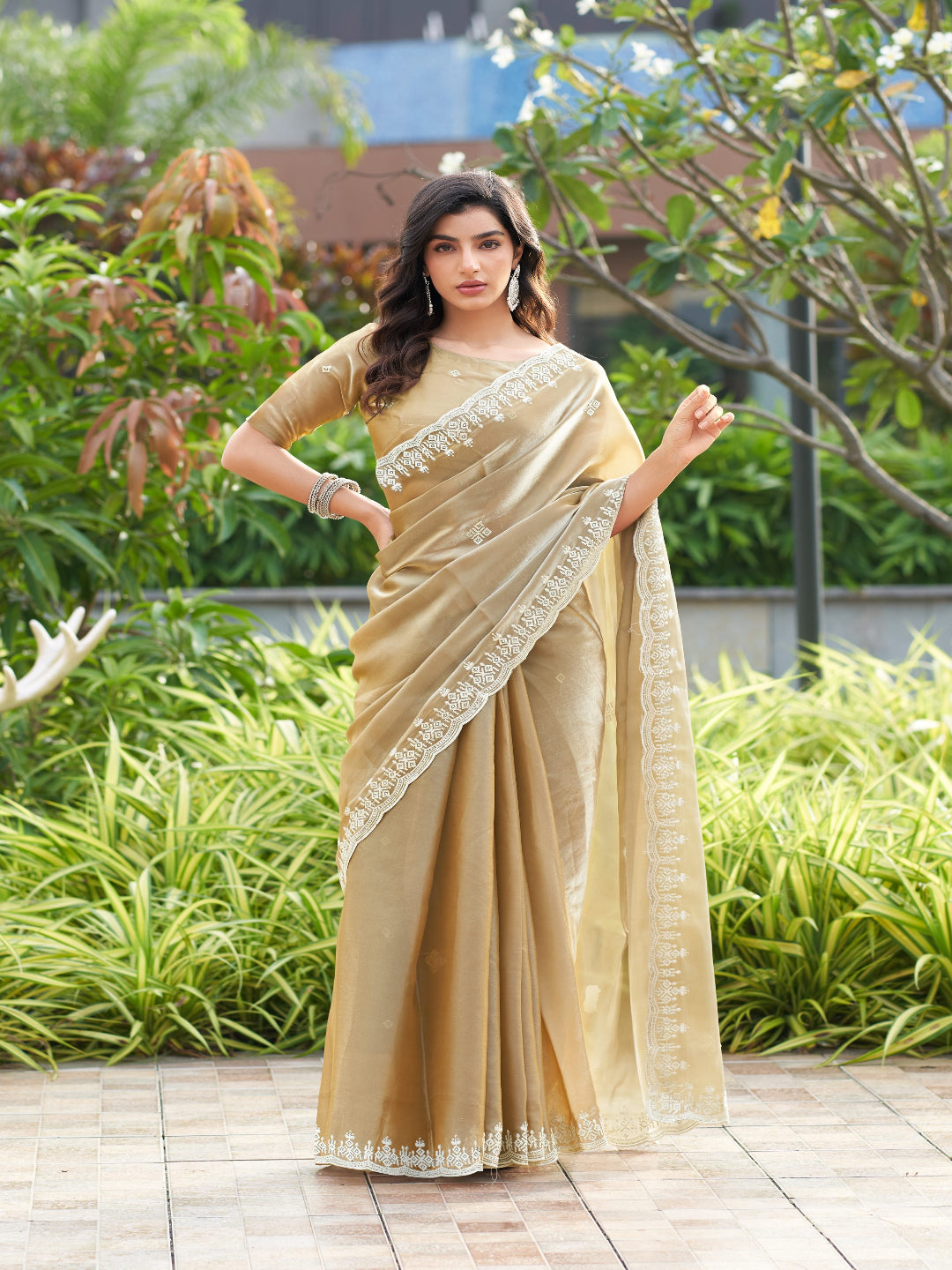 Golden Radiance: Highlighting the glowing tone of the beige shimmer chiffon saree.