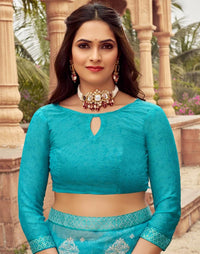 Flora Lace Chiffon Saree