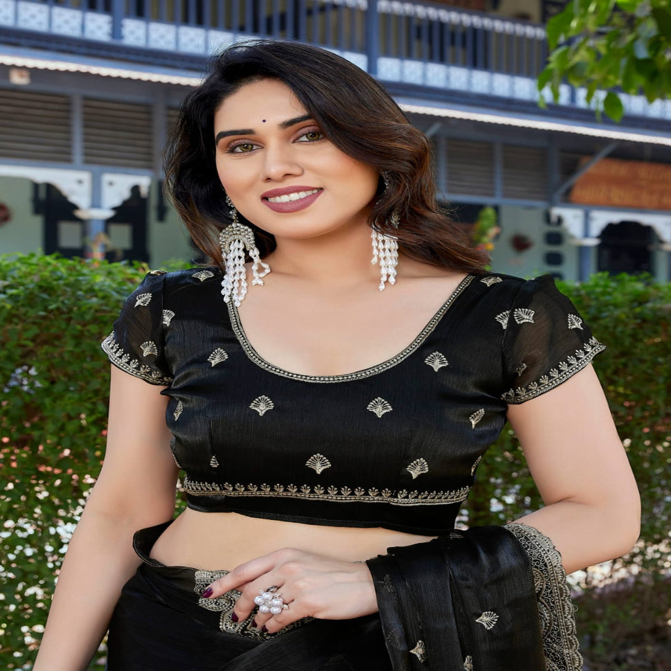 Elegant Embroidered Saree with Silver Designer Border – Party & Festive Wear