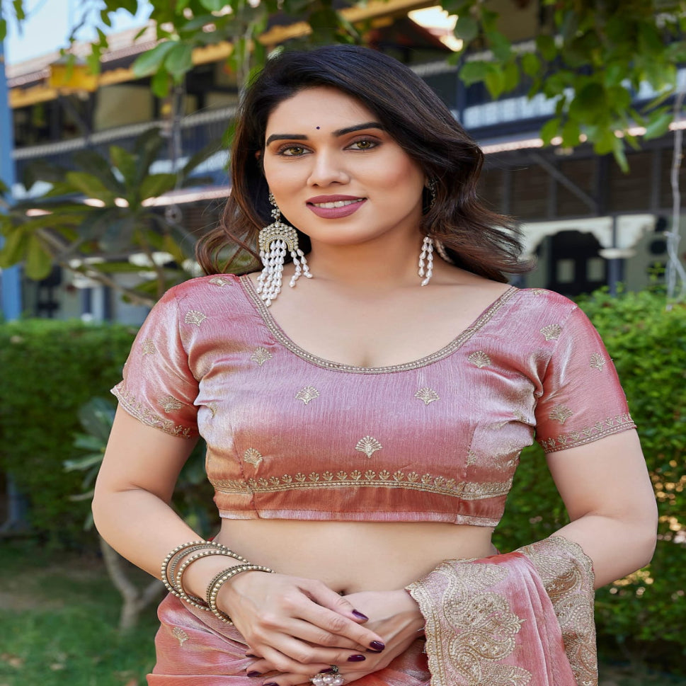 Elegant Embroidered Saree with Silver Designer Border – Party & Festive Wear