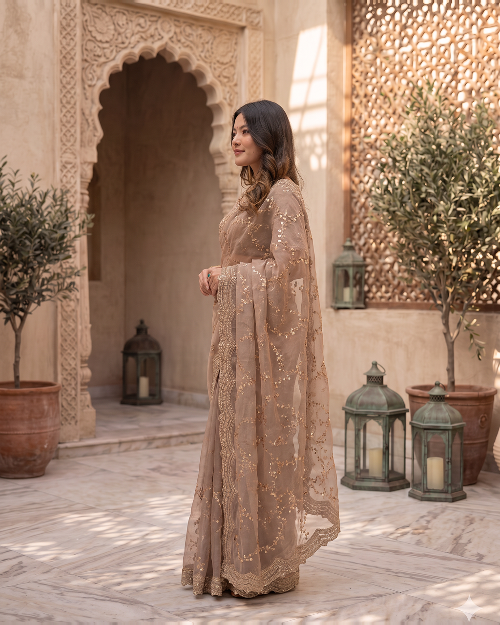 Pallavi Embroidered Vine Festive Saree with Delicate Shimmer - Grey - side